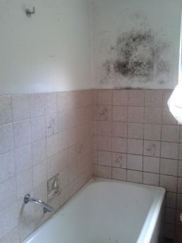 "Mieter lüftet nicht" - Abwasserrohre waren defekt